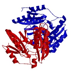 Image of CATH 3coy