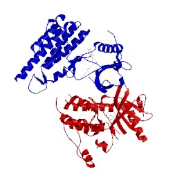 Image of CATH 3cp9