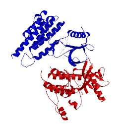 Image of CATH 3cpc