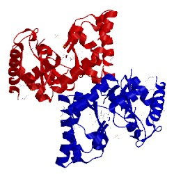 Image of CATH 3cqh