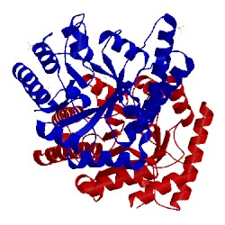 Image of CATH 3cqi