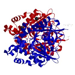 Image of CATH 3cqy