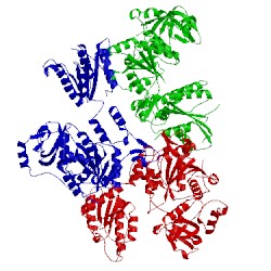 Image of CATH 3cr8