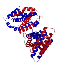 Image of CATH 3cra