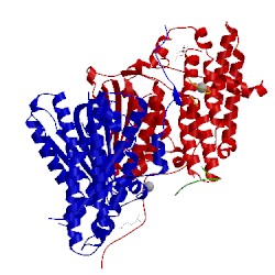 Image of CATH 3crk