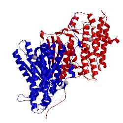 Image of CATH 3crl