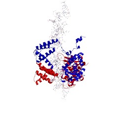 Image of CATH 3crx