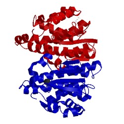 Image of CATH 3csj