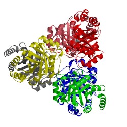 Image of CATH 3ctl