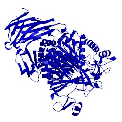 Image of CATH 3ctt