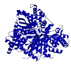 Image of CATH 3cut