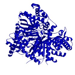 Image of CATH 3cuv