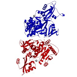 Image of CATH 3cw9