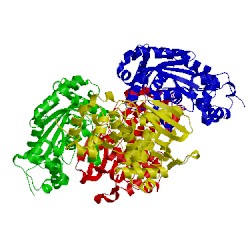 Image of CATH 3cwa