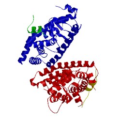 Image of CATH 3cwd