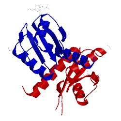 Image of CATH 3cwf