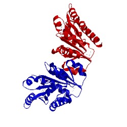 Image of CATH 3cwq