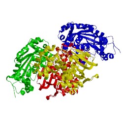 Image of CATH 3cwt