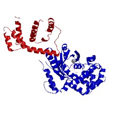 Image of CATH 3cx6