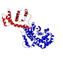 Image of CATH 3cx6