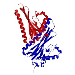 Image of CATH 3cyg