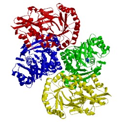 Image of CATH 3cyj
