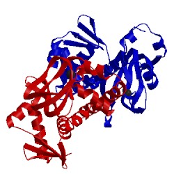 Image of CATH 3d0s
