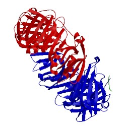 Image of CATH 3d1e