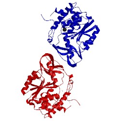 Image of CATH 3d1q