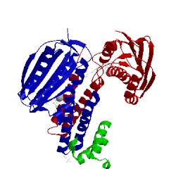 Image of CATH 3d36