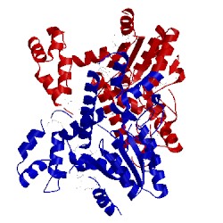 Image of CATH 3d3q