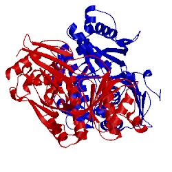 Image of CATH 3d4j