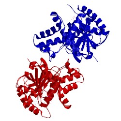 Image of CATH 3d4p