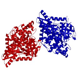 Image of CATH 3d5m