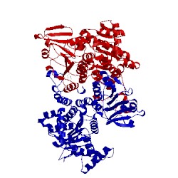 Image of CATH 3d64