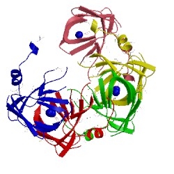 Image of CATH 3d82