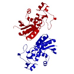 Image of CATH 3d8h