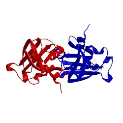 Image of CATH 3d8y