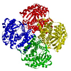 Image of CATH 3d9e