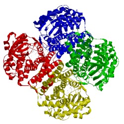 Image of CATH 3d9g