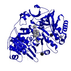 Image of CATH 3day