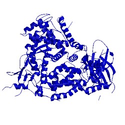 Image of CATH 3dbs