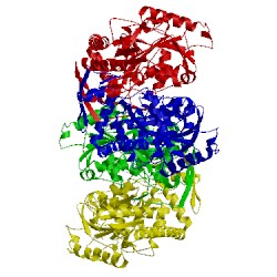 Image of CATH 3dc1