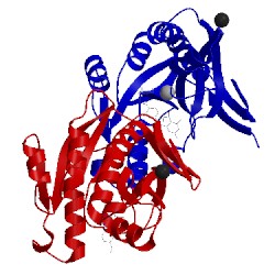 Image of CATH 3dcj