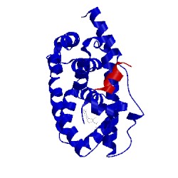 Image of CATH 3dct