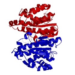 Image of CATH 3dd3