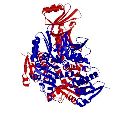 Image of CATH 3ddn