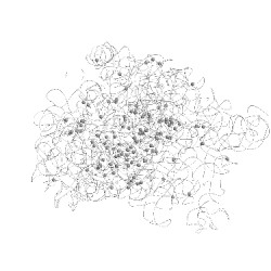 Image of CATH 3df4