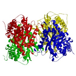 Image of CATH 3dfp
