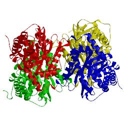 Image of CATH 3dfs